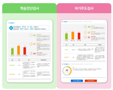 학습진단검사와 자기주도검사 예시