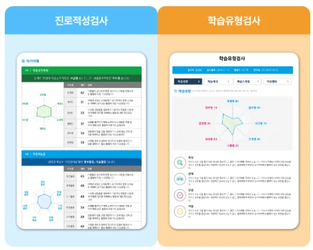진로적성검사와 학습유형검사 예시